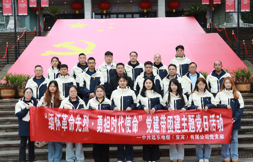 遠(yuǎn)東電纜（宜賓）黨支部順利開(kāi)展“緬懷革命先烈·勇?lián)鷷r(shí)代使命”主題黨日活動(dòng)